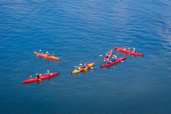 A group of people wearing life jackets paddle in colorful kayaks on calm, blue water, forming a loose circle as they interact on a sunny day.