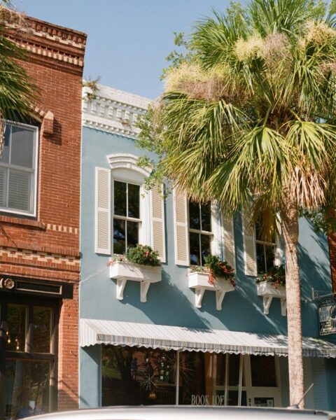 A two-story building with blue walls, white trim, and arched windows with flower boxes is shaded by a tall palm tree. A striped awning covers the storefront, and neighboring buildings are visible on the left.