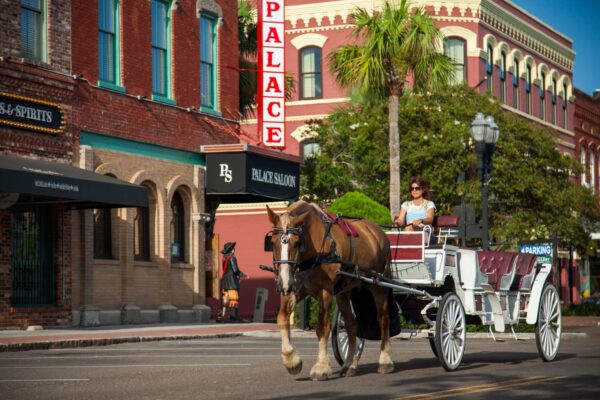 woman riding horse and buggy