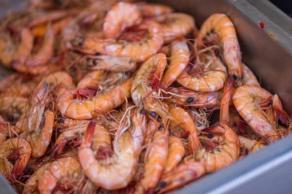 A metal container filled with a large pile of cooked shrimp, showing their orange-pink shells, legs, and antennae.