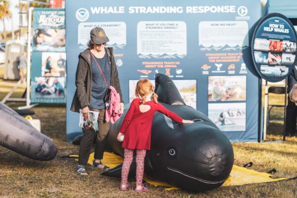 Amelia Island Right Whale Festival