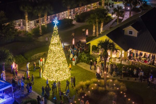 A large Christmas tree covered in bright lights stands outdoors at night during the Omni Amelia Island tree lighting event. People gather around the tree and nearby buildings decorated with string lights, creating a festive holiday scene.