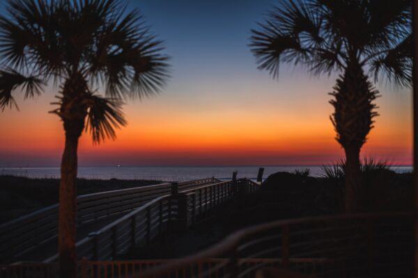 A vibrant sunset over the ocean with a clear sky, seen from a boardwalk flanked by silhouetted palm trees. Warm orange and red hues blend into deep blue above the calm water.