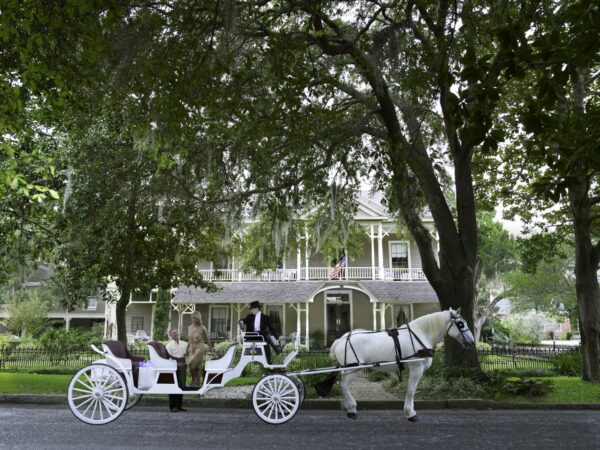 horse and buggy