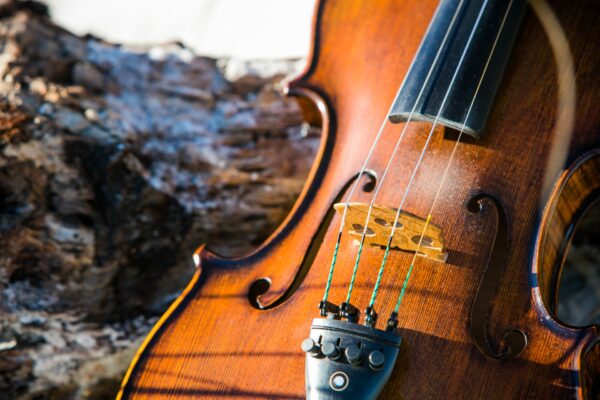 Close-up of a violin resting against a textured piece of wood, showing the strings, bridge, and part of the instrument’s body, with sunlight highlighting the wood grain.