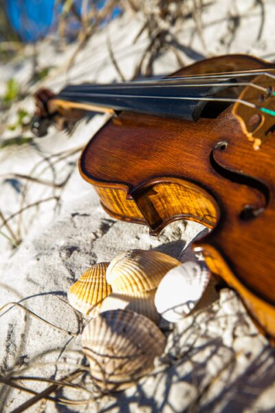 A close-up of a violin resting on white sand next to several seashells, with dry beach grass in the background under bright sunlight.