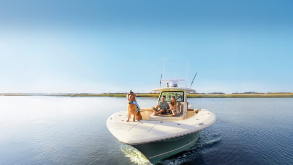 A group of people relax on the deck of a motorboat cruising on calm water under a clear blue sky, with grassy shoreline visible in the background.