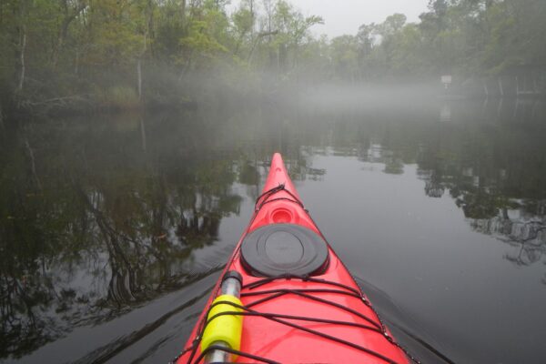 A bright red kayak glides on calm, misty water surrounded by trees, with fog obscuring the distance and reflecting on the surface.