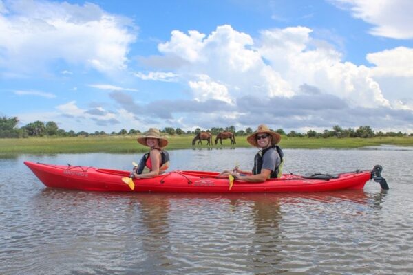 kayak and horses