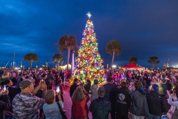 downtown holidays tree lighting