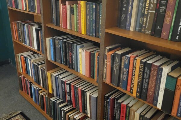 Wooden bookshelves filled with a variety of colorful hardcover and paperback books, arranged vertically and horizontally, standing on a carpeted floor.
