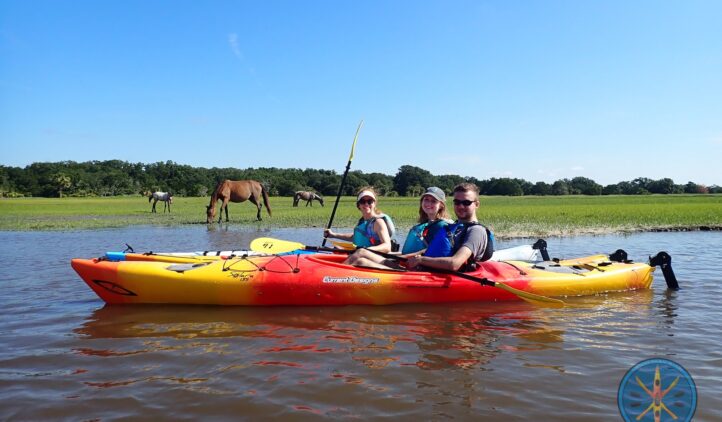 Three people in life jackets sit in a tandem kayak on shallow water, smiling at the camera. In the background, horses graze on grass under a clear blue sky.