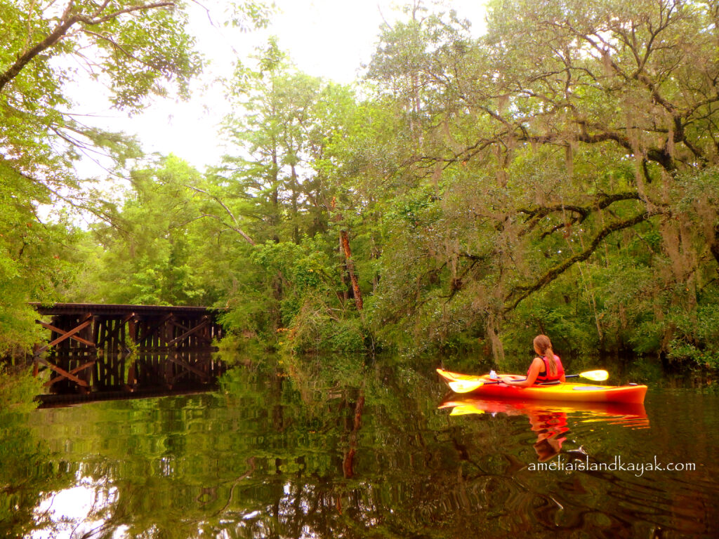 Kayak, Shells & Wild Horses calm waters