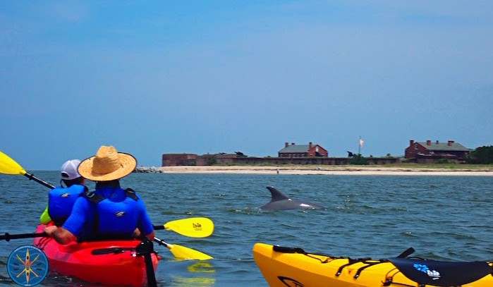 Amelia Island Kayak Excursions dolphin