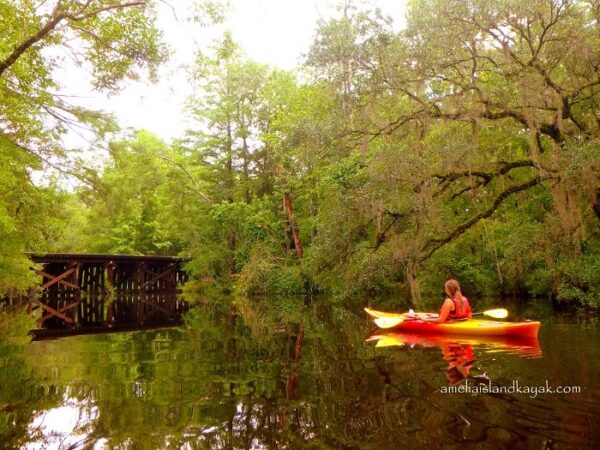 Amelia Island Kayak Excursions woman