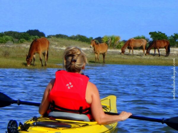 kayak and horses