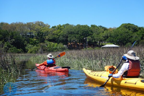 Two people in hats and life vests kayak through a narrow waterway surrounded by tall grasses, with trees and houses in the background under a clear blue sky.