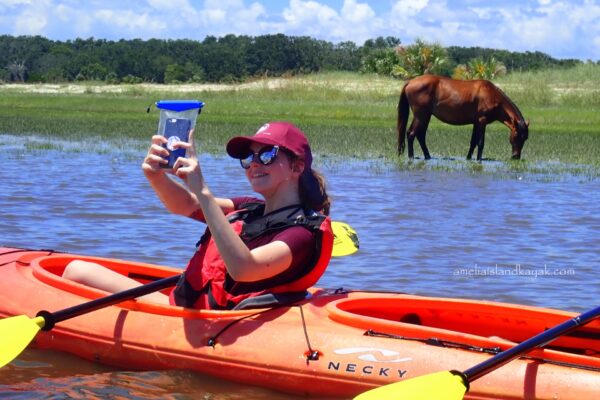 A woman in a red kayak takes a selfie with her phone, smiling and wearing sunglasses and a cap. A brown horse grazes on grass by the water in the background under a blue sky.