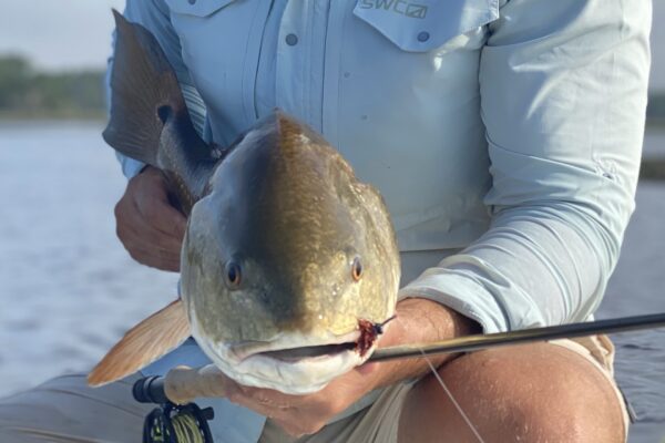 A person in a light blue shirt holds a large fish close to the camera with both hands, fishing rod visible, with water and greenery blurred in the background.