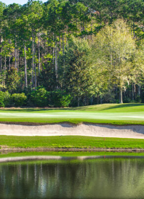 Amelia National Golf bunker