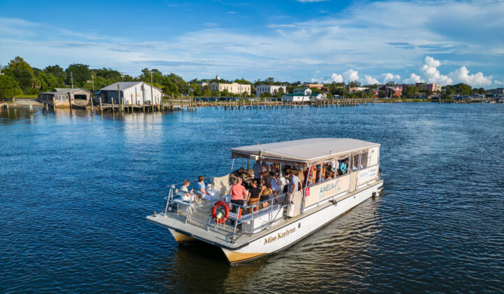 Amelia River Cruises boating along shoreline