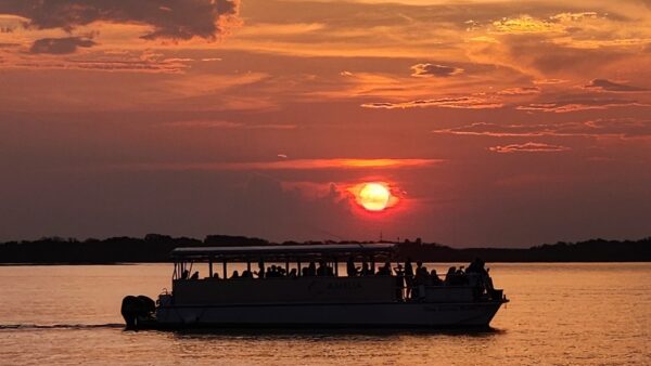 Amelia River Cruises twilight