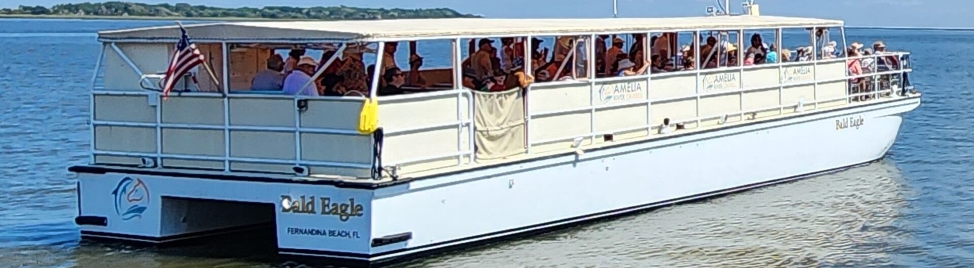 Amelia River Cruises Bald Eagle