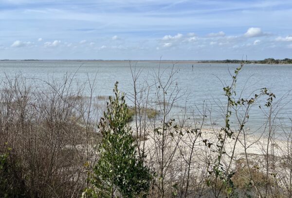 Amelia River