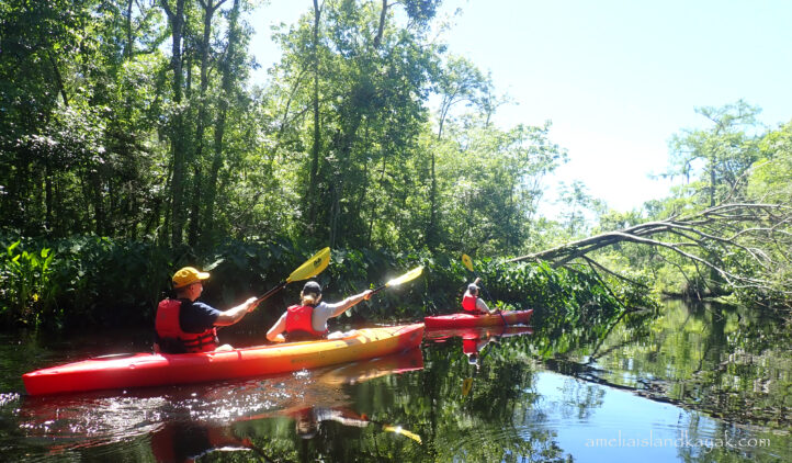 Amelia Island Kayak Excursions
