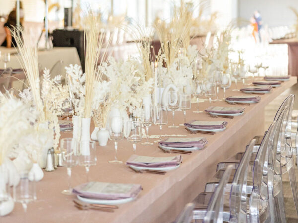 Amrapali & Brett wedding