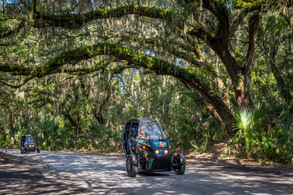 Two small three-wheeled electric vehicles drive along a tree-lined road, with large oak trees draped in Spanish moss arching overhead, creating a tunnel-like effect in a lush, green forest.