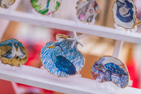 painted shells