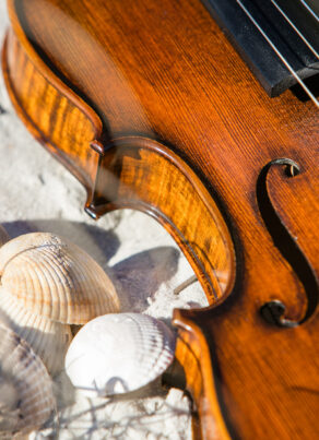 violin on sand with seashells