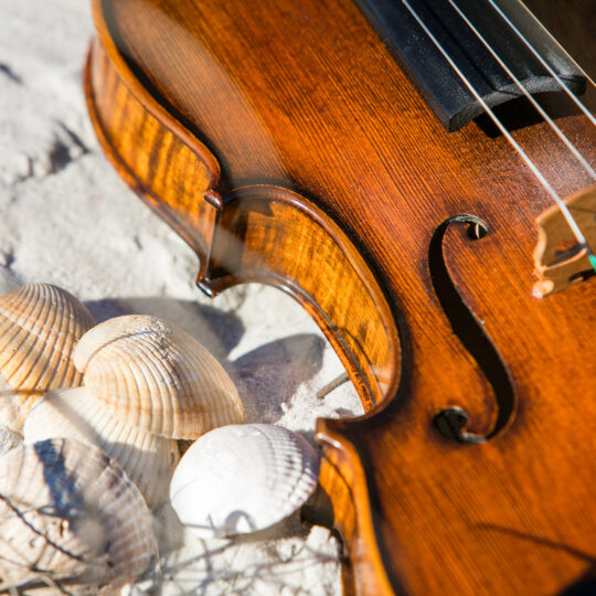 violin on sand with seashells