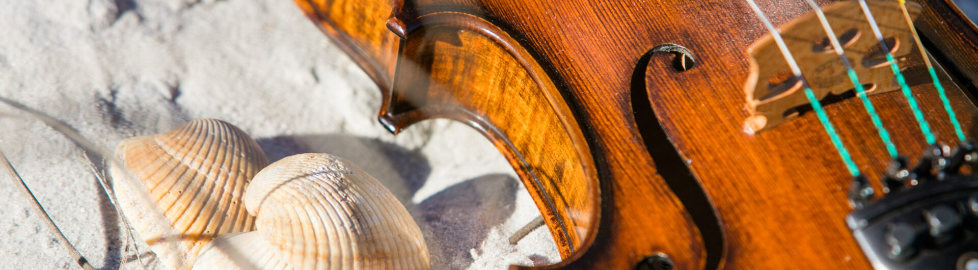 Arts and Culture Violin