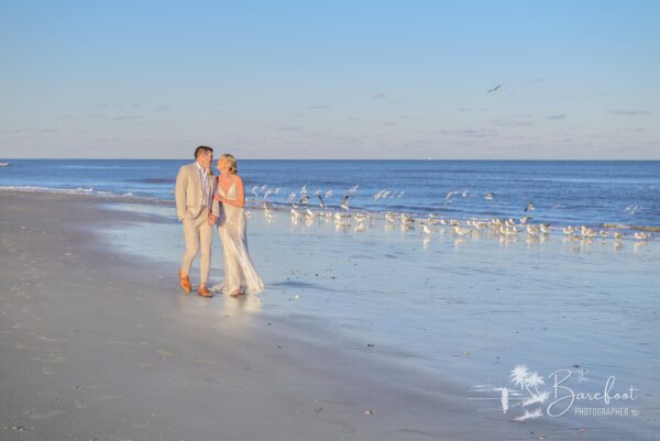 A couple in wedding attire walks hand-in-hand along a sandy beach near the shoreline, with seagulls gathered in the background and gentle waves under a clear blue sky.