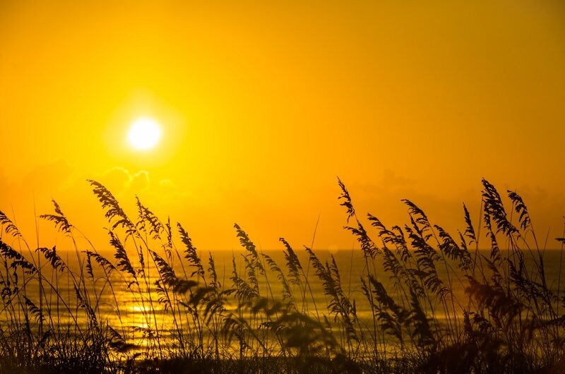 sunset dunes