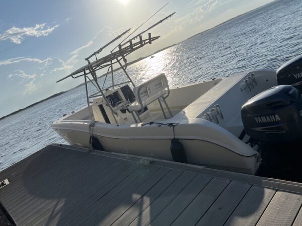 Beat the Oddz Charters