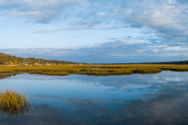 aerial marsh perspective