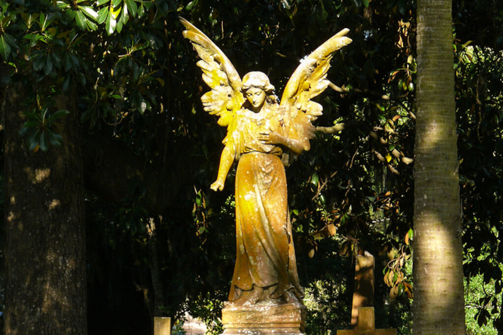 afternoon with angel statue