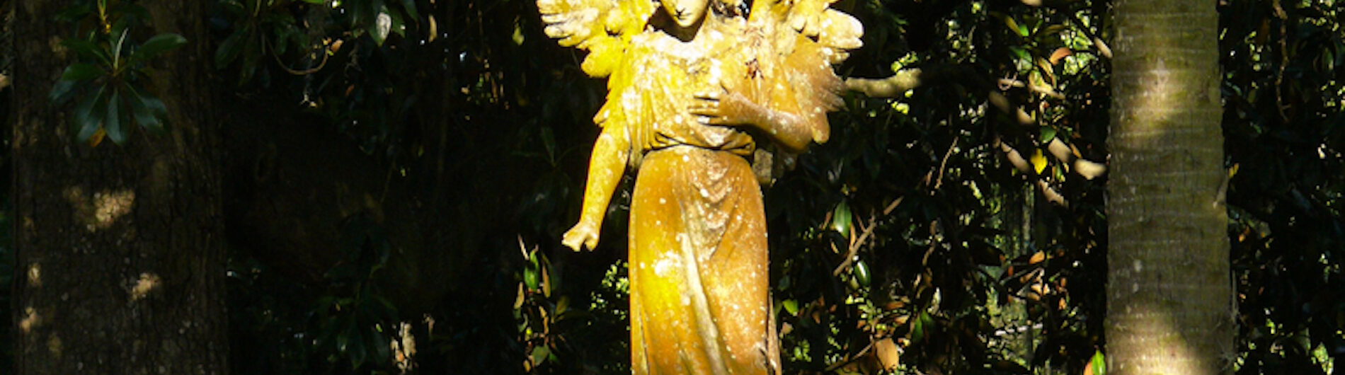 afternoon with angel statue