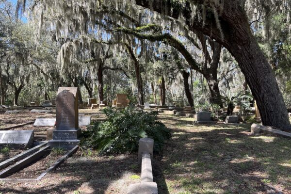 A cemetery with old gravestones and large trees draped in Spanish moss. Sunlight filters through the branches, casting shadows over the grassy area and headstones.