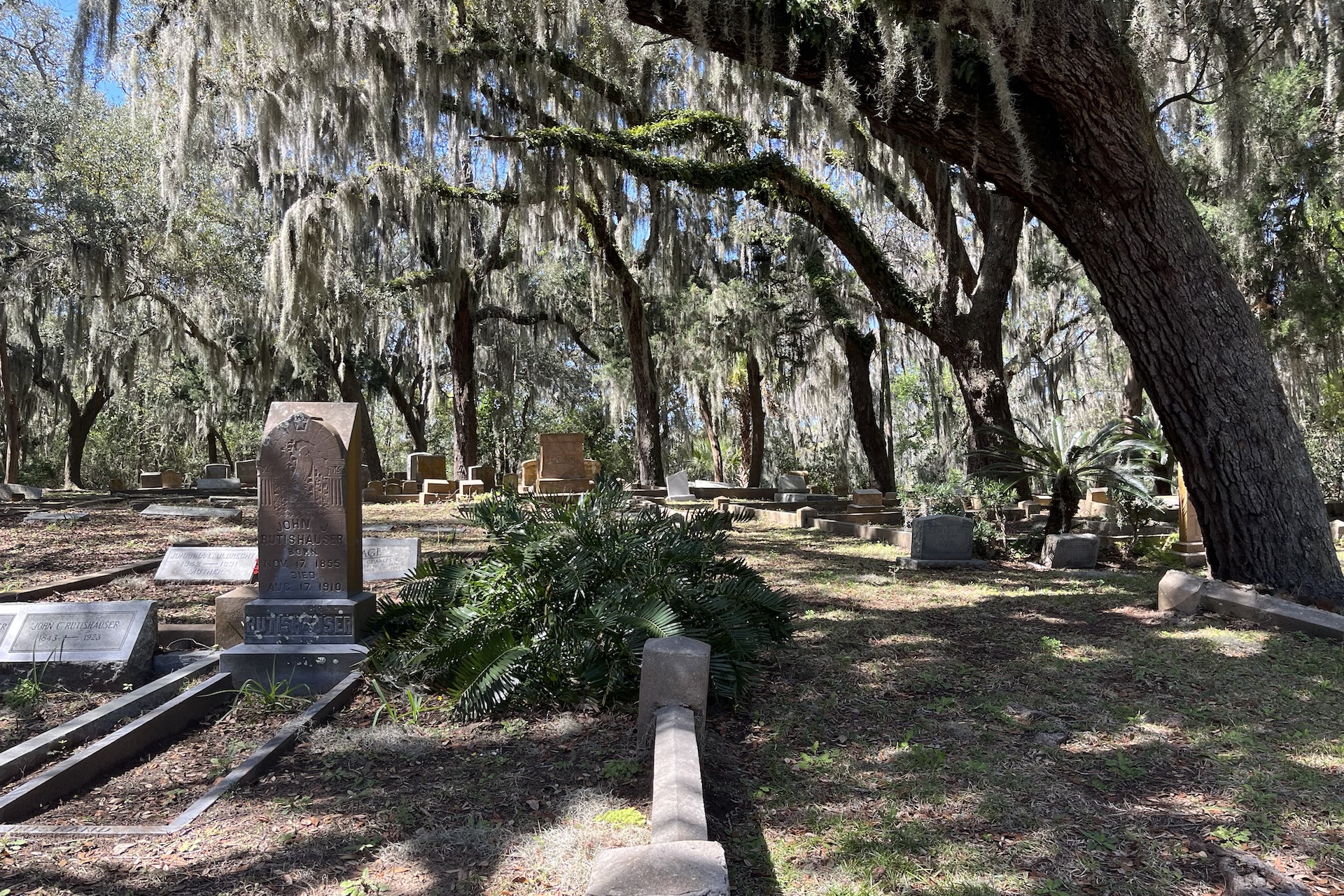 A cemetery with old gravestones and large trees draped in Spanish moss. Sunlight filters through the branches, casting shadows over the grassy area and headstones.