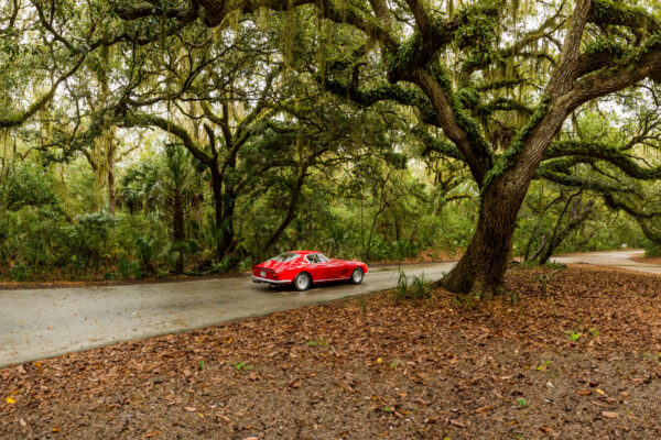 car in forest under trees