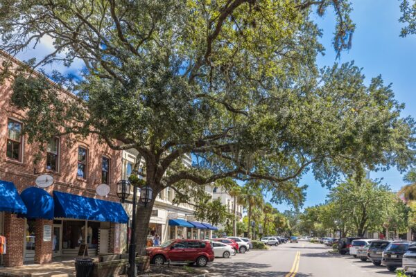 A tree-lined street with parked cars, brick storefronts with blue awnings, and shops on a sunny day in a small downtown area.