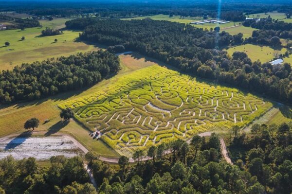 maze
