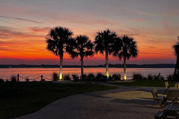 Five palm trees wrapped with white lights stand by a waterfront at sunset, with vibrant orange and purple hues in the sky. Benches and a pathway are in the foreground, and calm water stretches into the distance.