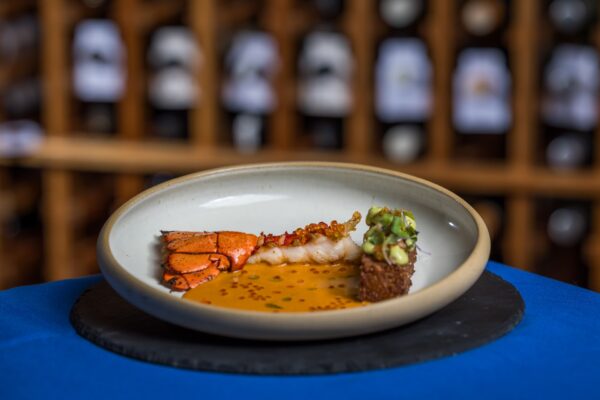 A gourmet seafood dish featuring lobster tail, a delicate sauce, and a small garnished cube, artfully presented on a white plate with a blurred wine rack in the background.