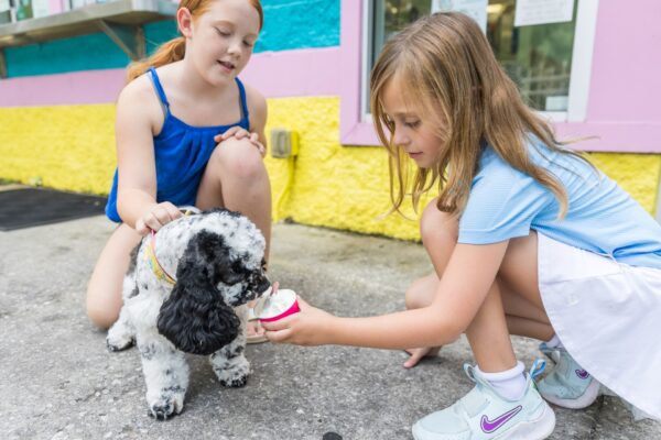 Two young girls kneel outside a colorful building, smiling as they help a black-and-white dog eat ice cream from a small cup. One girl holds the dog while the other offers the treat.