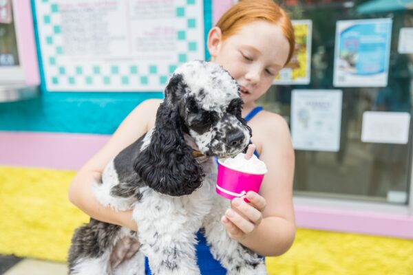 A young girl with red hair holds a black and white dog, letting it lick whipped cream from a small pink cup outside an ice cream shop with colorful walls.